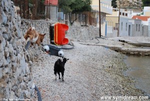 Symi Greece photos