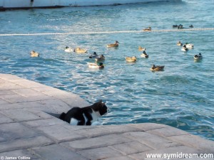 Symi Greece photos