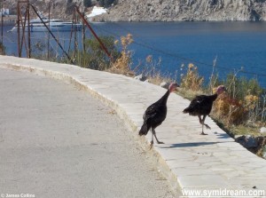 Symi Greece photos