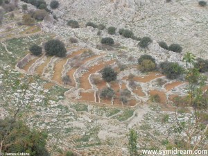 Walking through the Kato Meria area of Symi