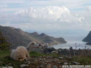 Symi Greece photos