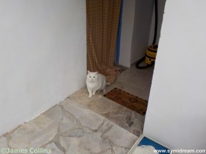 Images from Symi Greece