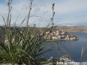 Images from Symi Greece