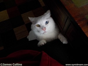 Images from Symi Greece