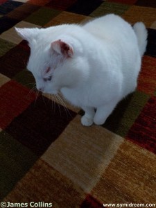 Images from Symi Greece