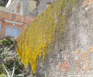Images from Symi Greece