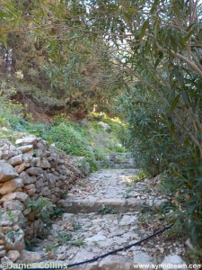 Images from Symi Greece