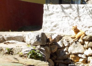 Images from Symi Greece