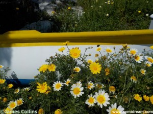 Images from Symi Greece