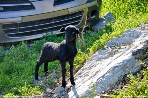 Images from Symi Greece