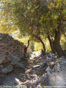 Images from Symi Greece