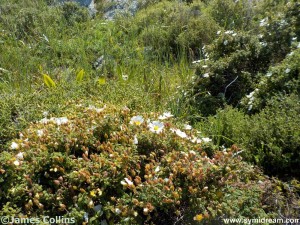 Images from Symi Greece