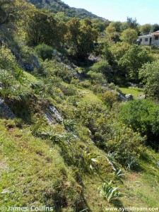 Images from Symi Greece