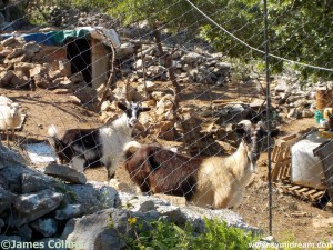 Images from Symi Greece