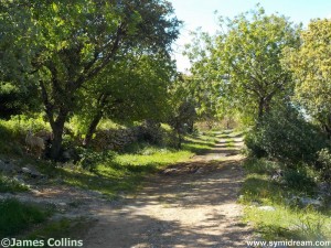 Images from Symi Greece