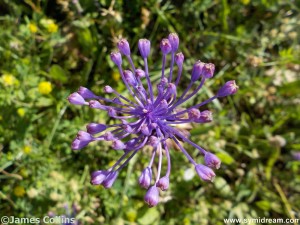 Images from Symi Greece