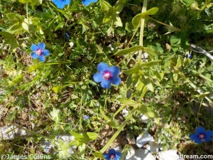Images from Symi Greec