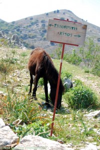 Images from Symi Greece