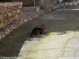 Images from Symi Greece