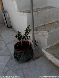 Images from Symi Greece by Neil Gosling and James Collins