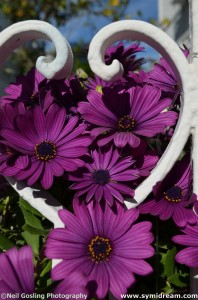 Images from Symi Greece