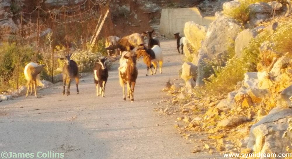 Images from Symi Greece by Neil Gosling and James Collins
