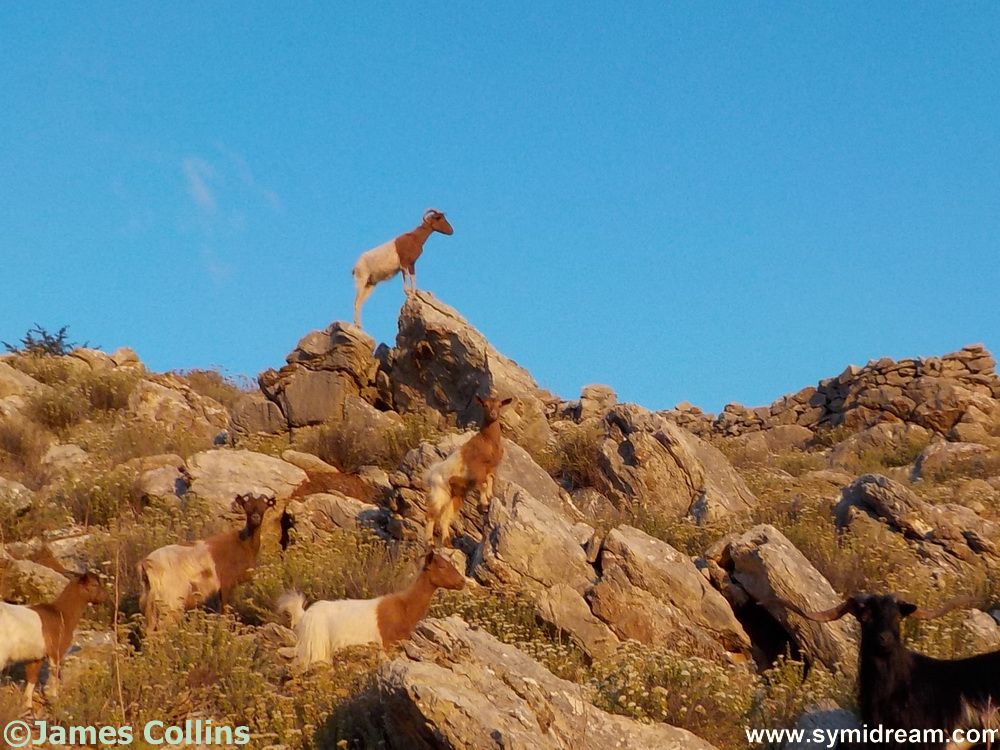 Images from Symi Greece by Neil Gosling and James Collins