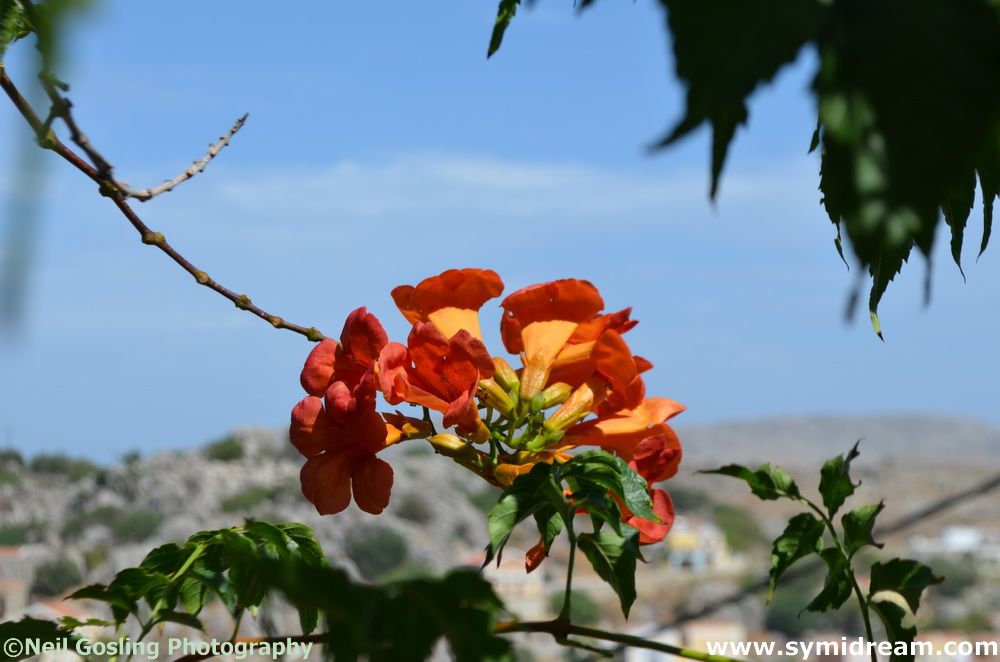 Images from Symi Greece by Neil Gosling and James Collins
