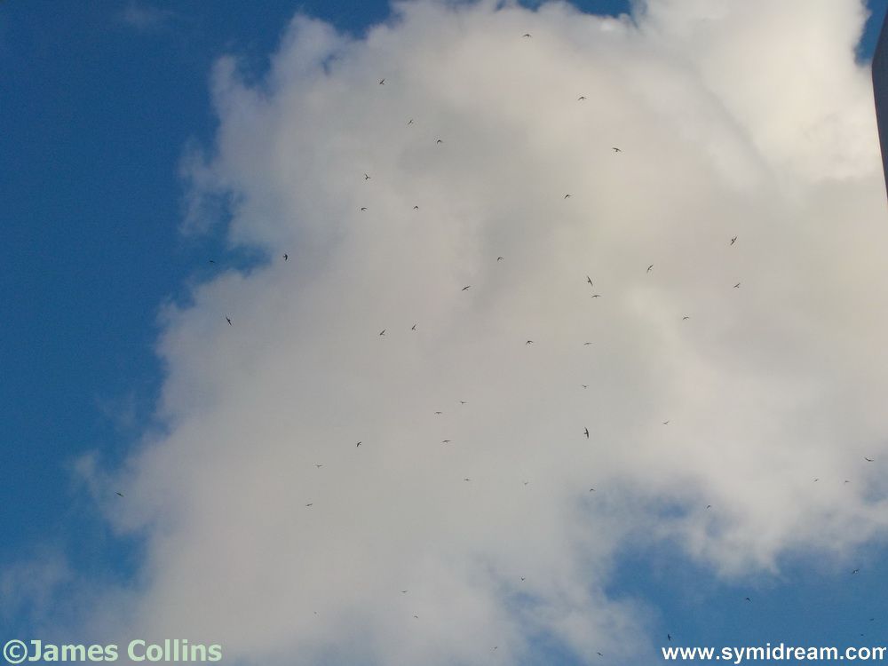 Images from Symi Greece by Neil Gosling and James Collins