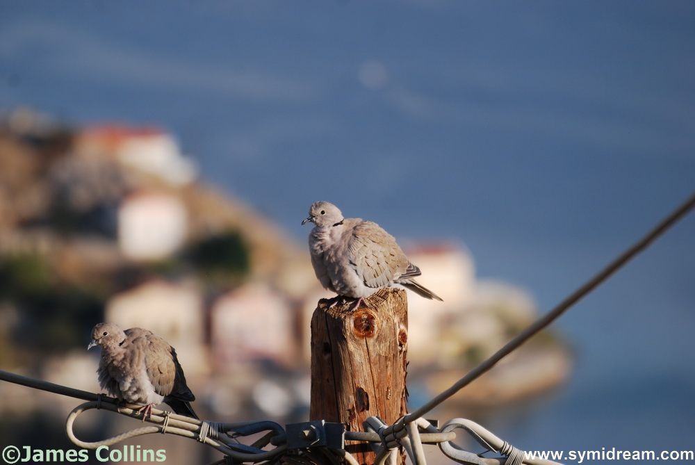 Images from Symi Greece by Neil Gosling and James Collins