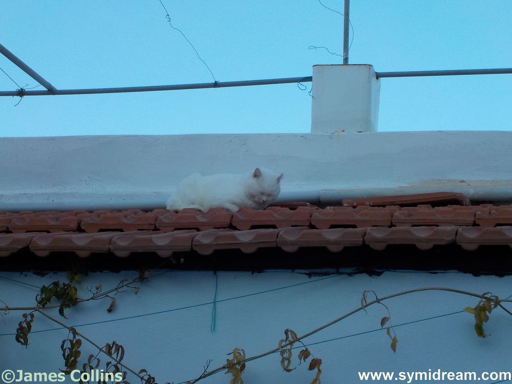 Images from Symi Greece by Neil Gosling and James Collins