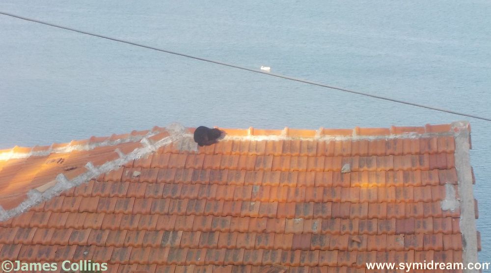 Images from Symi Greece by Neil Gosling and James Collins