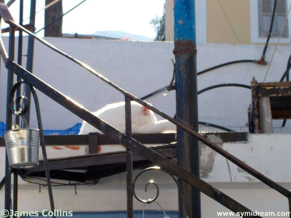 Images from Symi Greece by Neil Gosling and James Collins