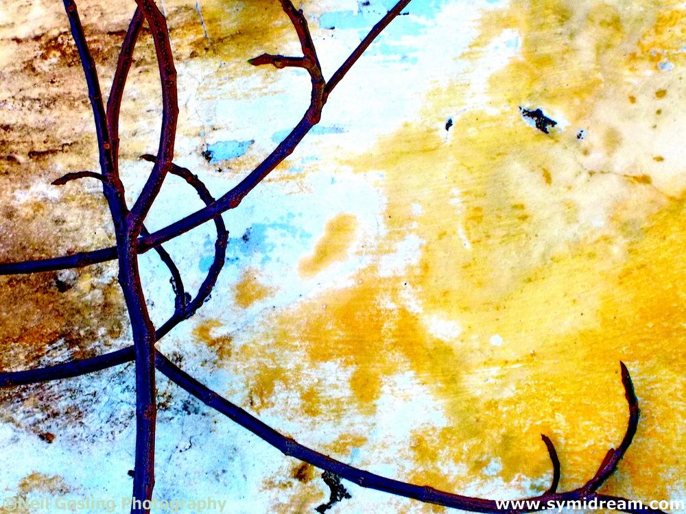 Leap Day, some personal and interesting facts