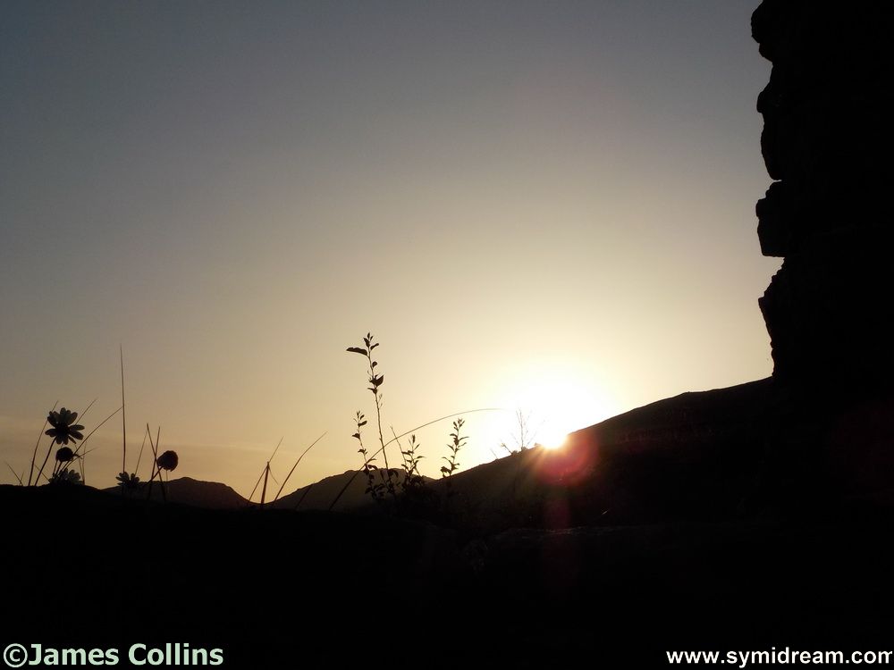 The sounds of morning