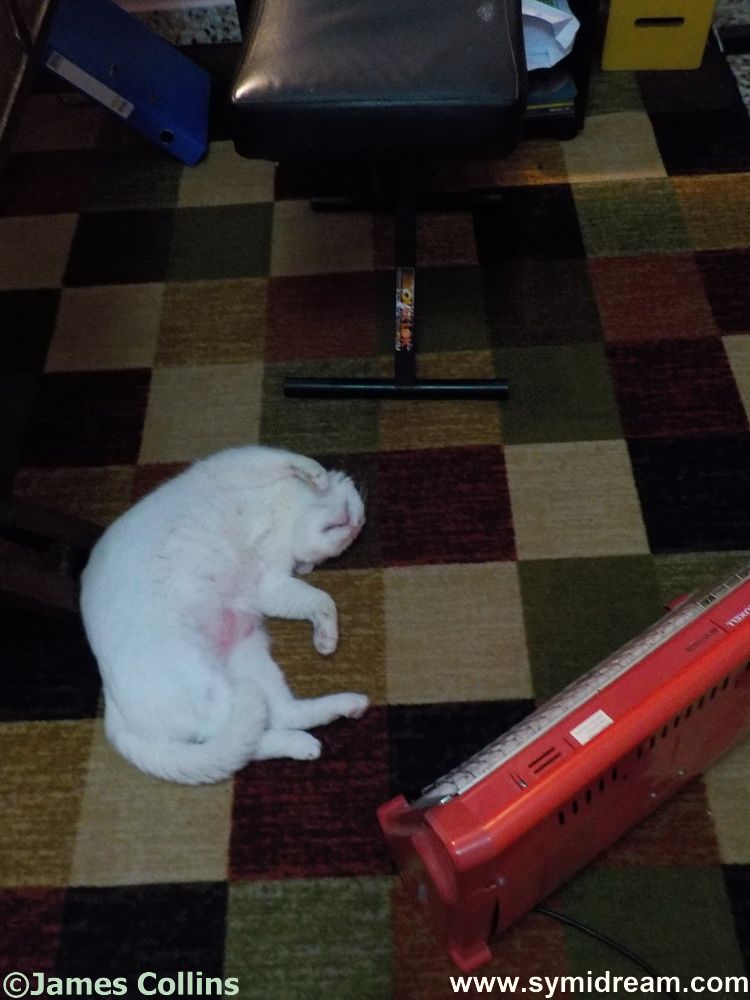 Health insurance matters