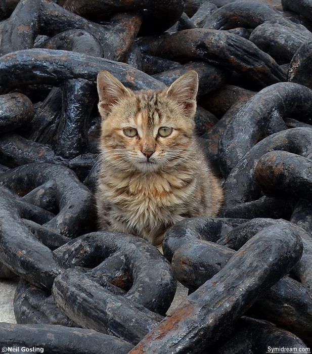 Start of Lent in Greece
