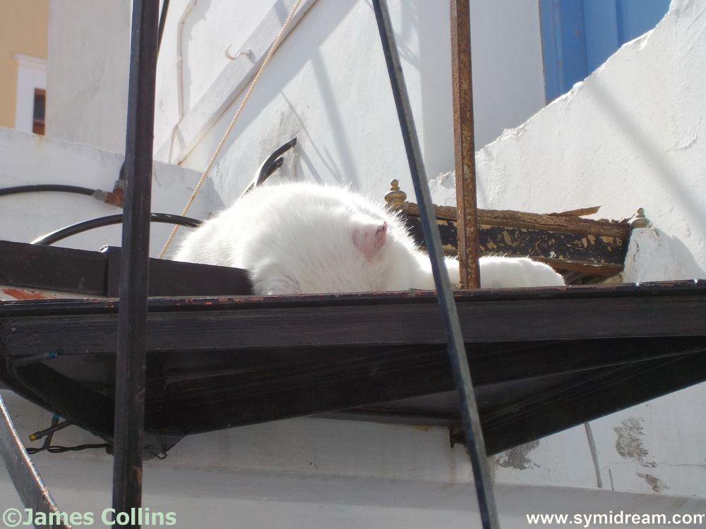 From boats to book reviews