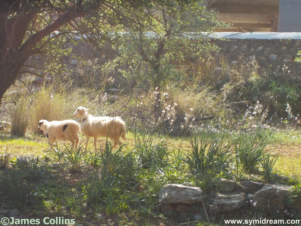 Friday morning jobs done, weekend ahead