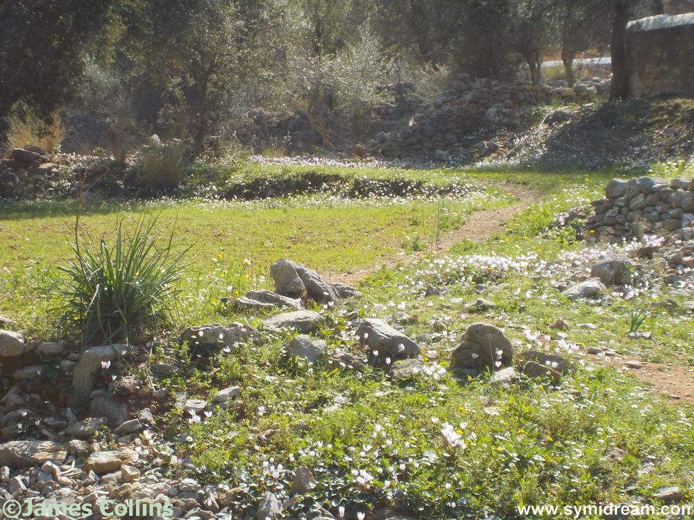 Friday morning jobs done, weekend ahead