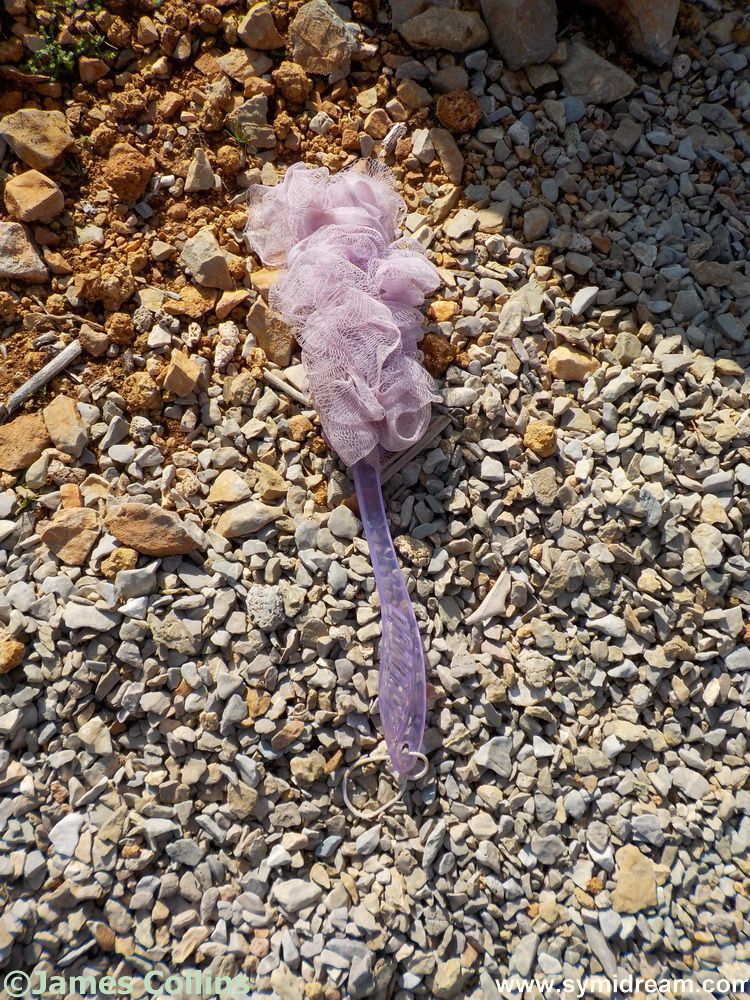 From boats to book reviews