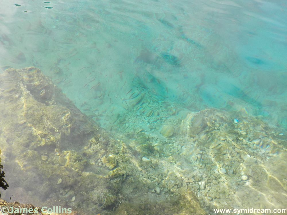 From boats to book reviews