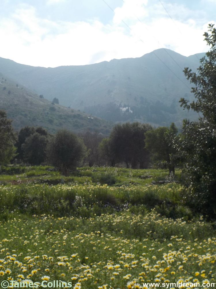 From boats to book reviews