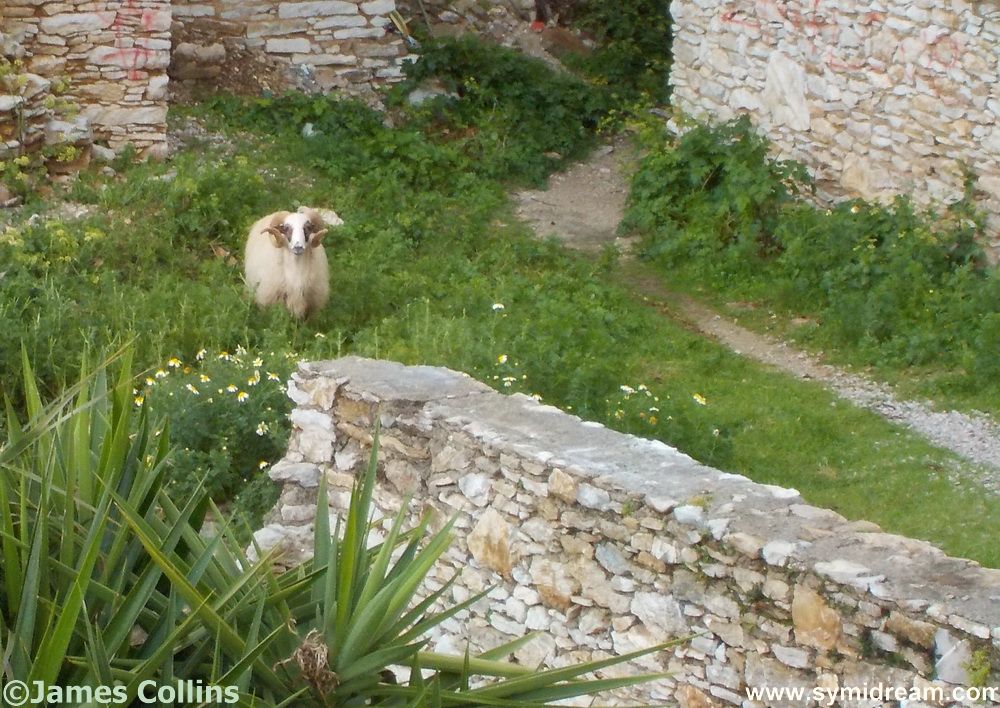 Grey skies over Symi