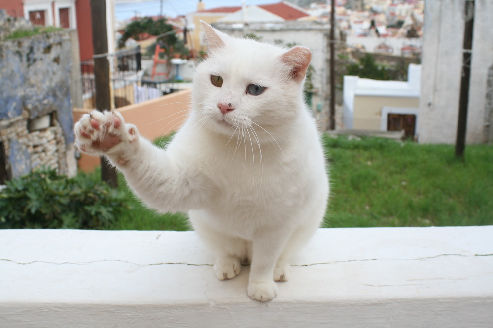 Symi Greece Symi Dream