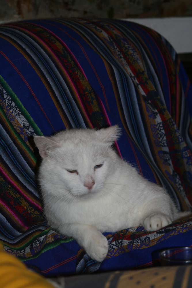 Symi Greece Symi Dream