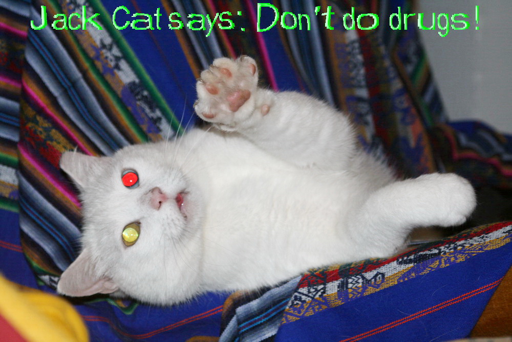 Symi Greece Symi Dream