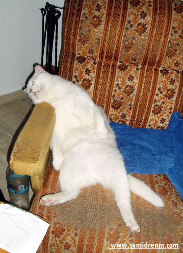 Symi Greece Symi Dream