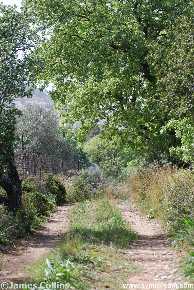 Pedi Valley walk views (taken in spring)