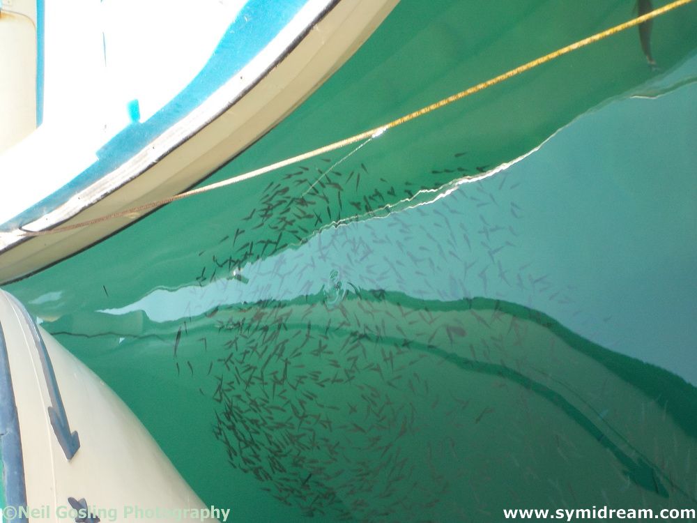 A day in Yialos in October